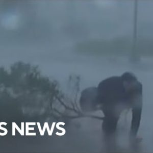 Weather Channel's Jim Cantore hit by tree branch during Hurricane Ian coverage