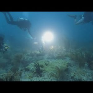 A look at an underwater experiment that could protect coral