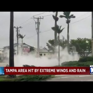 Downed trees, power lines in Tampa after Ian lashes Florida