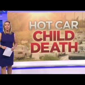 Infant dies after being left in hot car