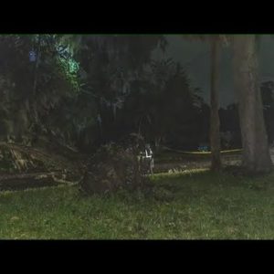 JFRD crews help clear trees from roads during tropical storm