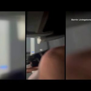 Passenger strikes flight attendant in back of head