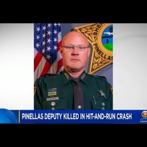 Pinellas County Deputy Killed In Hit-And-Run Crash