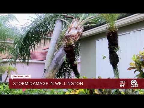 Possible tornado damages homes in Wellington