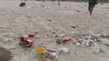 Thousands of volunteers expected at South Florida beaches for International Coastal Cleanup