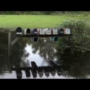 Severe flooding in St. Johns County