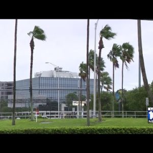 Tampa area bracing for devastating storm surge