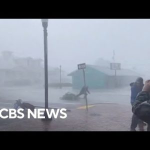 Weather Channel's Jim Cantore nearly blown away, hit by tree branch while covering Hurricane Ian