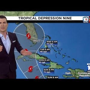 Tropical Depression Nine: Noon forecast