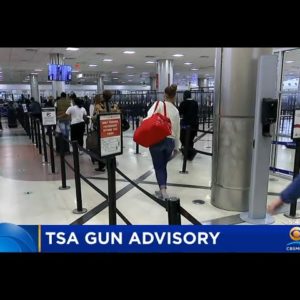 TSA: Record 581 Guns Encountered At Florida Airports This Year