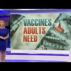 Vaccines adults need