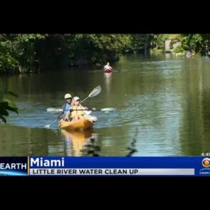 Volunteers Gather To Clean Up Little River Waterway