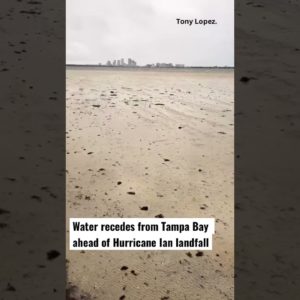 Water recedes from Tampa Bay before Hurricane Ian landfall
