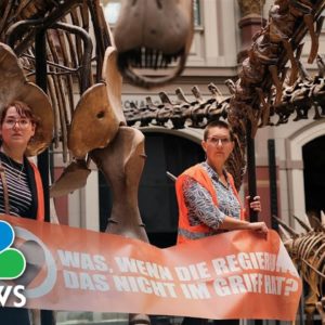 Climate Change Activists Glue Themselves To Dinosaur Exhibit At Berlin Museum