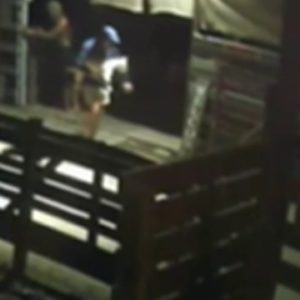 2 men spotted stealing goat from Davie farm