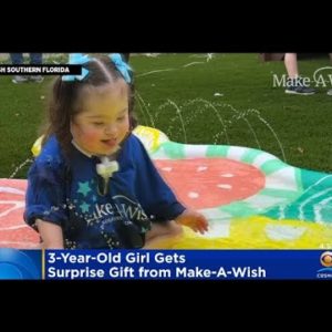 3-Year-Old Gets Special Surprise From Make-A-Wish South Florida