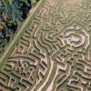 Maze Craze: What It Takes To Create Those Twists And Turns | Nightly News: Kids Edition