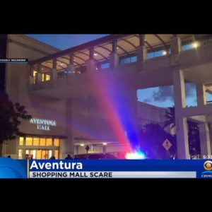 Aventura Mall Evacuated After Smoke Bomb Scare