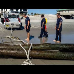 Iconic Mayport Poles damaged by Hurricane Ian, float to Jacksonville Beach Pier