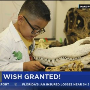 Boy gets wish granted on National Fossil Day