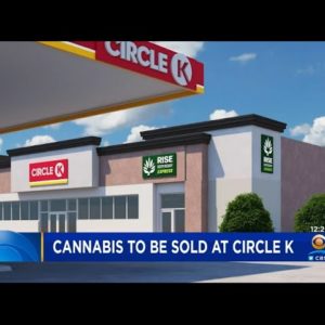 Cannabis Coming To Circle K Gas Stations In Florida