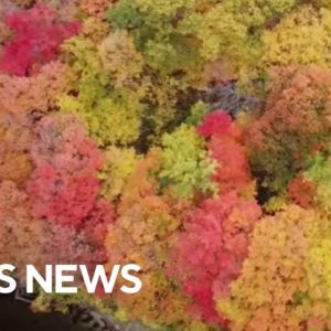 Drone captures stunning fall colors in Minnesota