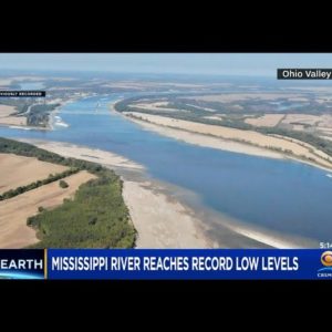 Droughts Bring Mississippi River To Historically Low Levels