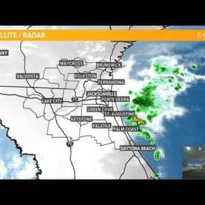 Georgia / Florida Game Forecast and weekend outlook