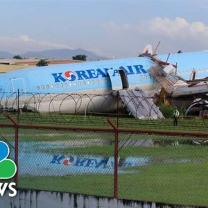Korean Air Jet Overshoots Runway, Stops Nose Down In Grass