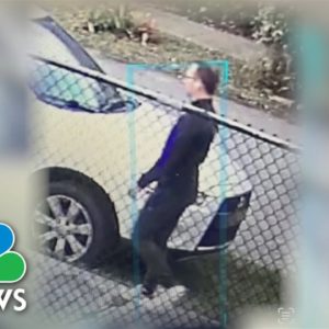 Surveillance Video Shows Florida Girl Escaping Possible Attempted Kidnapping