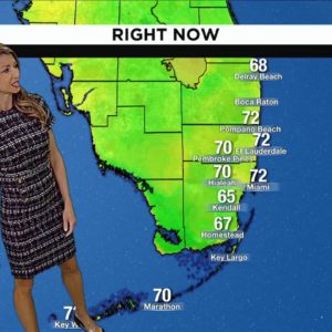 Local 10 News Weather: 10/27/2022 Morning Edition