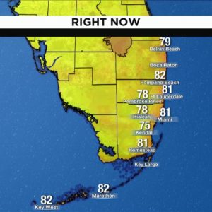 Local 10 Weather: 10/11/2022 Morning Edition