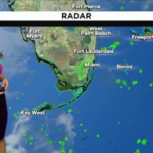 Local 10 Weather: 10/12/2022 Morning Edition