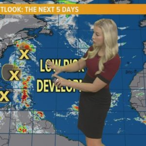 Low Chance of Development in the Tropics
