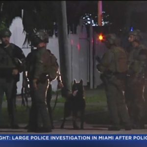 Miami police swarm neighborhood after getting call about man putting gun to child's head