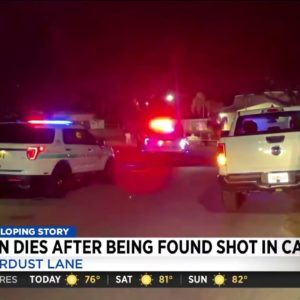 Man dead after found shot in crashed car
