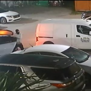 Security camera captures team of thieves attempting to steal catalytic converters