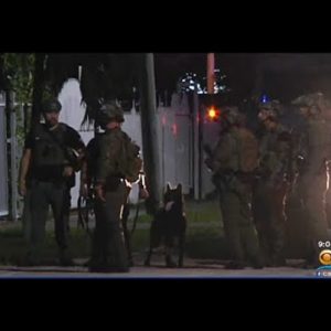 SWAT Swarms Miami Neighborhood After 911 Caller Says A Man Put A Gun To A Child's Head