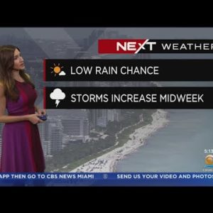 Miami Weather 10/3/2022 5AM