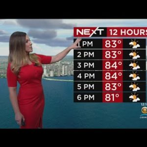 Miami Weather 10/4/2022 12PM