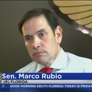 Sen. Rubio stands by statement that attack on GOP canvasser was politcally motivated