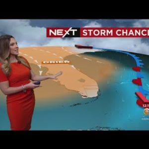 NEXT Weather - South Florida Forecast - 10/3/22