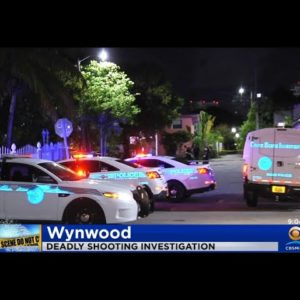One Man Killed In Wynwood Shooting