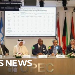 OPEC and Russia to slash oil production in bid to boost prices