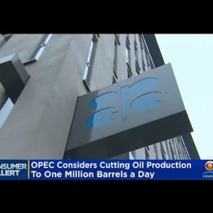 OPEC Considers Historic Cut In Oil Production