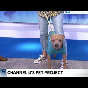 Pet Project: Meet Cornflake