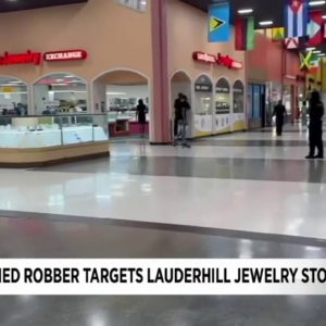 Police: Armed robber arrested after Lauderhill jewelry store heist