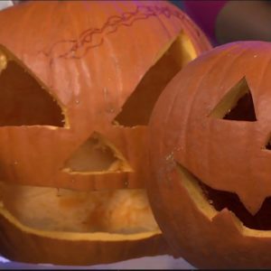 Pumpkin carving with News4Jax
