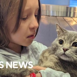 10-year-old girl whose family fled war in Ukraine is reunited with the cat she left behind