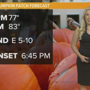Slightly Above Avg. Temperatures in Forecast